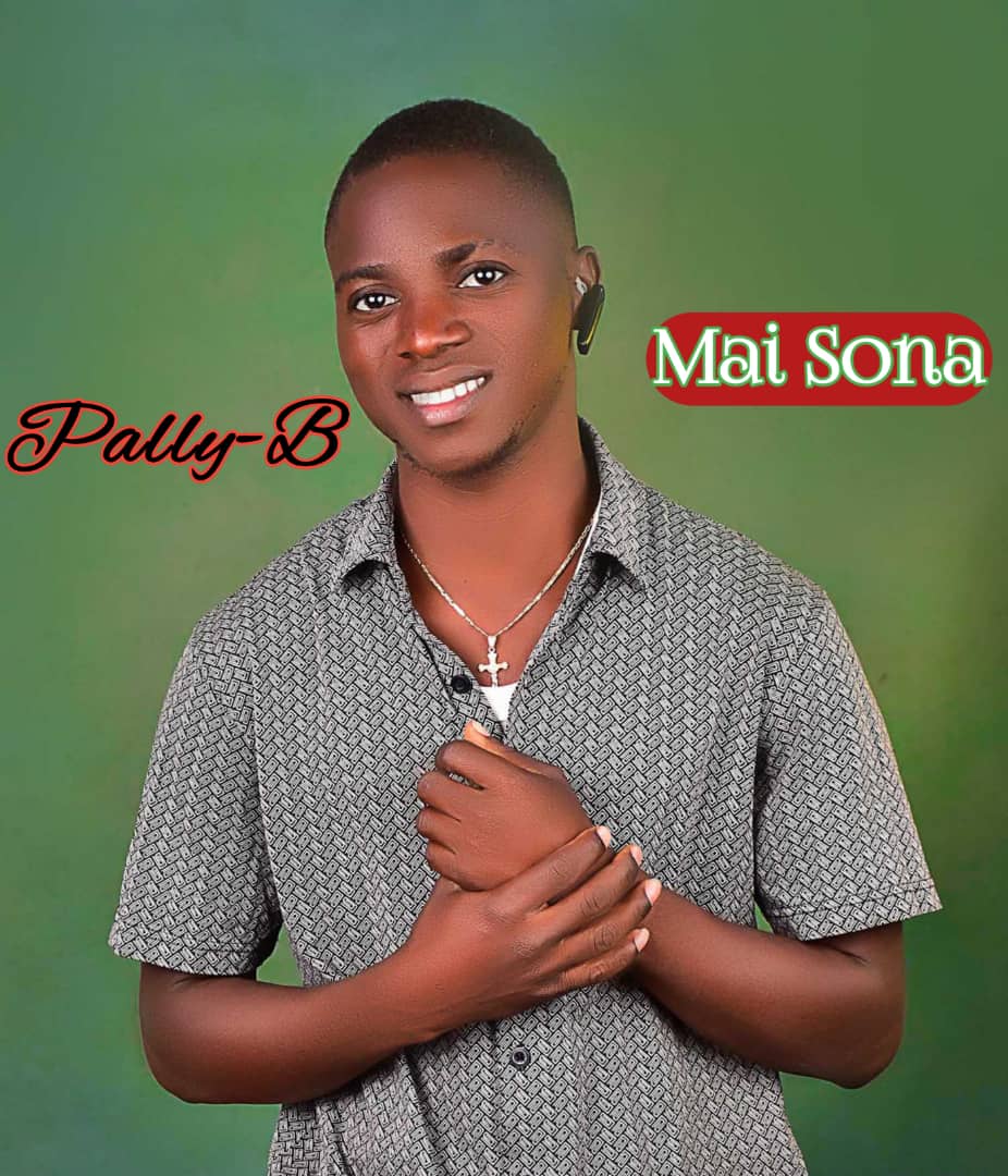 Mai Sona_Pally B | Free Download on 9jaflix.net