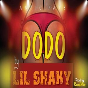 LII SHAKY- DODO.mp3 | Free Download on 9jaflix.net