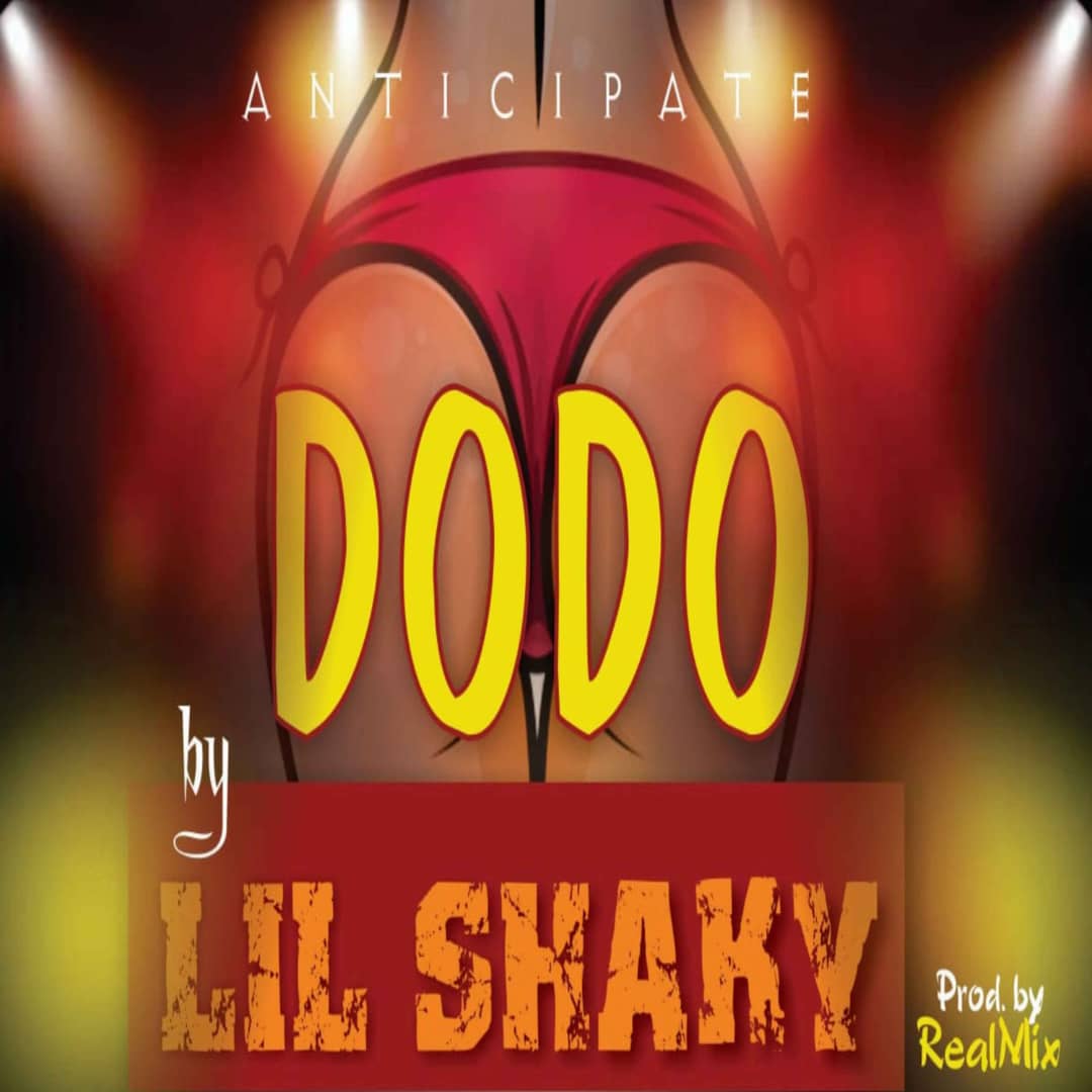 LII SHAKY- DODO.mp3 | Free Download on 9jaflix.net