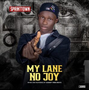 Sprint Town – My Lane No Joy.mp3 | Free Download on 9jaflix.net